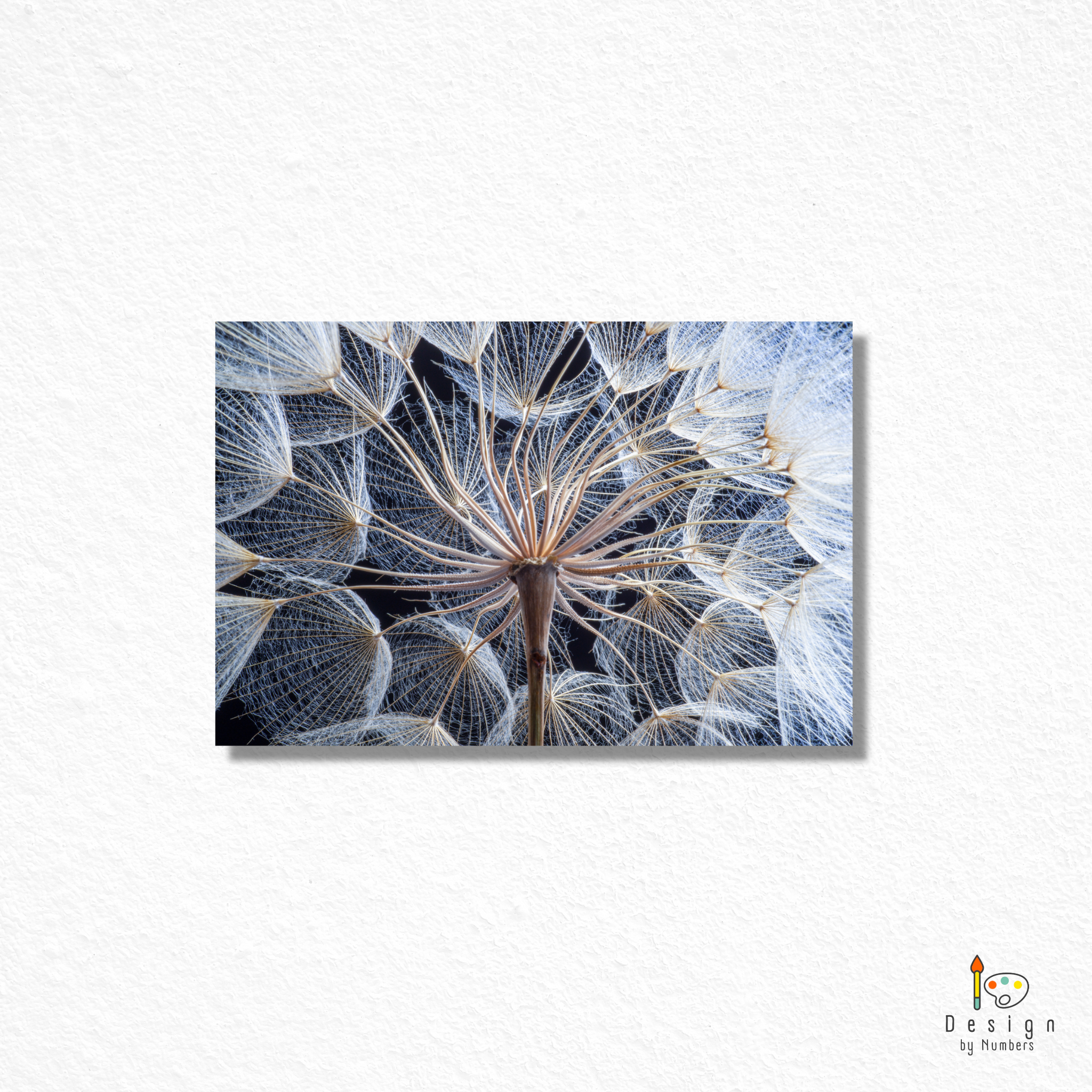 Dreams of a Dandelion - Paint by Numbers