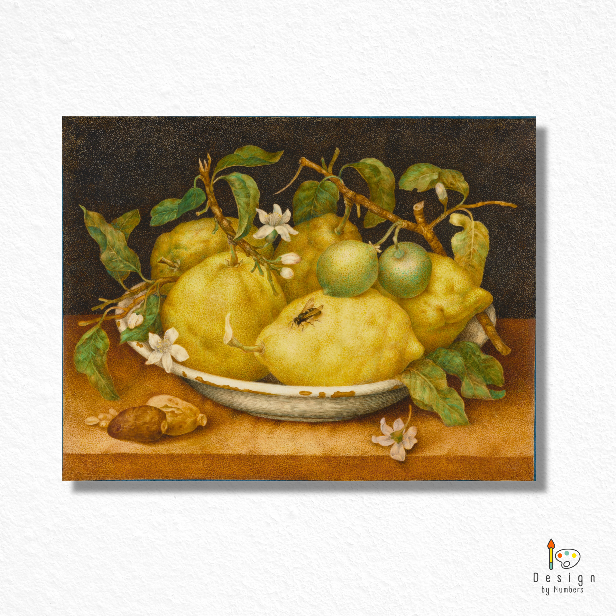 Still Life with Bowl of Citrons - Giovanna Garzoni - Paint by Numbers