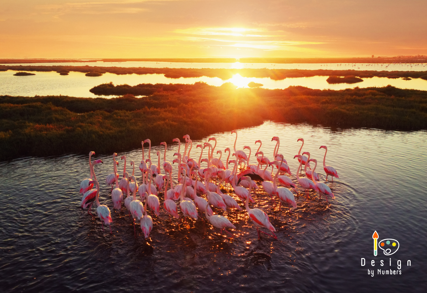 Twilight's Pink Paradise- Paint By Numbers