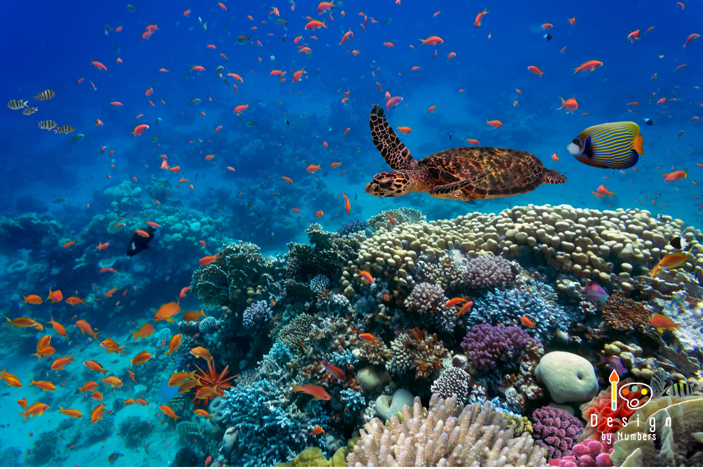 Underwater Paradise - Paint by Numbers